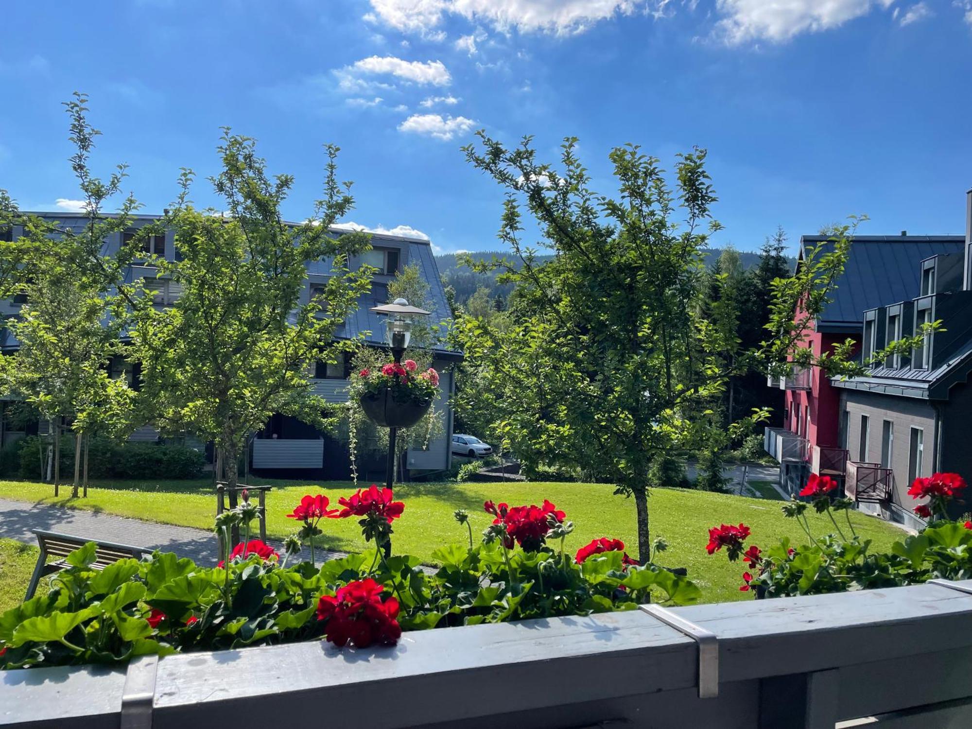 Spirit Harrachov Superior Wellness Apartments - Free Wellness, Wifi, Parking, Harrachov Card Экстерьер фото